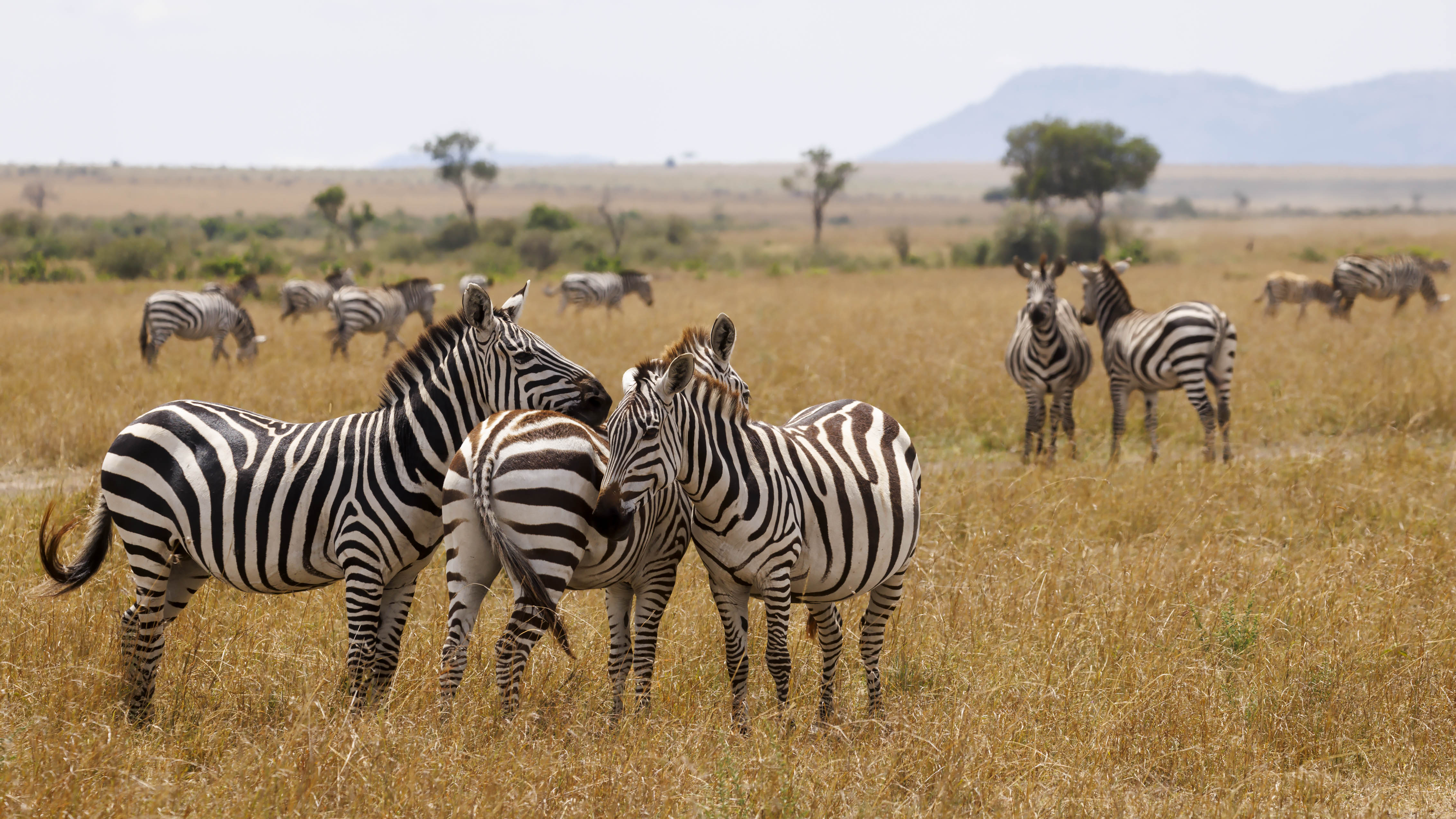 November 10, 2022-112202-Edit.jpg